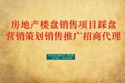 房地产营销策划(房地产营销策划有限公司经营范围)