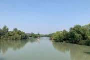 网络营销与电子商务的区别
:电子商务工程师和网络营销（高级）这两个证哪个更好点？