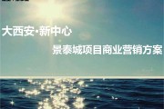 商业营销(商业销售方案)
