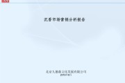 市场营销分析报告(国际市场营销分析报告)