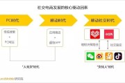 社交电商的模式(社交电商的模式分类及其代表平台)