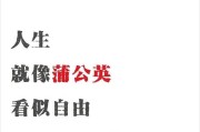 软文文案段子(文案软文是什么意思)