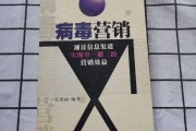 病毒营销(病毒营销案例)