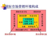 国际营销(国际营销中可能面临的政治风险最大的是)