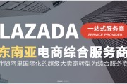 东南亚电商服务(东南亚国家电商平台)