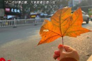 12月文案图片(12月文案图片高清)