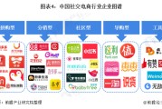 社交电商方案(社交电商方案法律风控)
