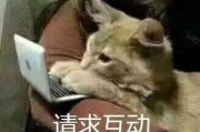 单身狗的沙雕文案(双十一单身狗吐槽的沙雕文案)