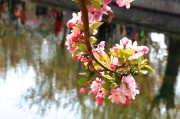 春光美文案(春光明媚文案)