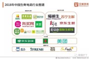 垂直电商都有哪些(垂直电商和综合电商区别)