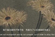 分手的文案(分手的文案句子短句)