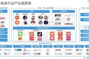 自营式电商(自营式电商平台的主要盈利来源是)