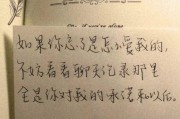 爱情视频文案(关于爱情的文案视频)