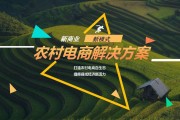 农村电商现状(农村电商现状分析)