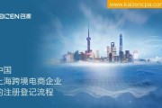 上海的电商(上海的电商运营)