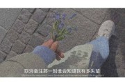 17岁的文案(17岁的文案伤感)