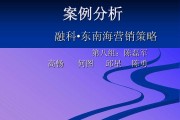 市场营销案例ppt(市场营销案例PPT来分析优缺点)