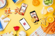 社交电商十大平台(社交电商十大平台所涉及的法律关系)