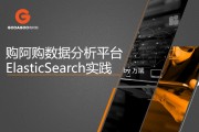 elasticsearch电商(elasticsearch电商搜索)