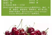 车厘子文案(车厘子文案怎么写)