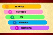4p营销策略分析(4p营销策略分析案例)