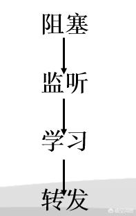 网络中STP是什么意思？