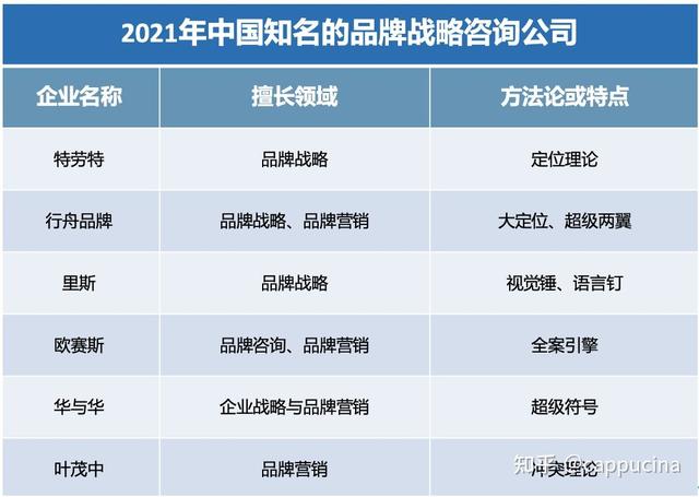 国内有哪些比较专业的品牌战略咨询公司可以推荐？