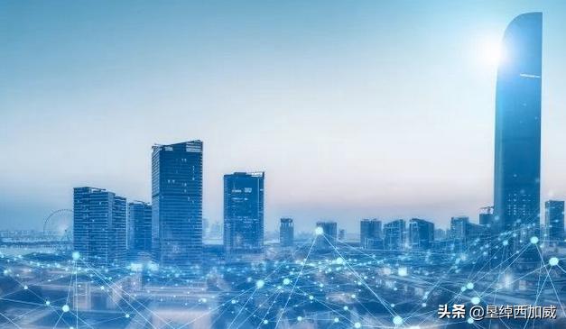企业运营模式的分类？