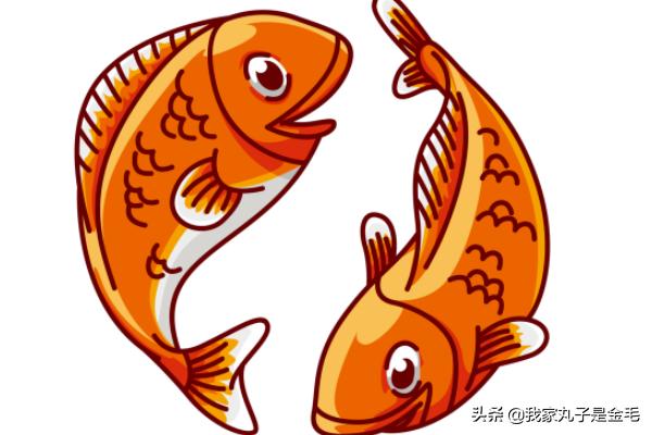 怎样的充值活动有吸引力？