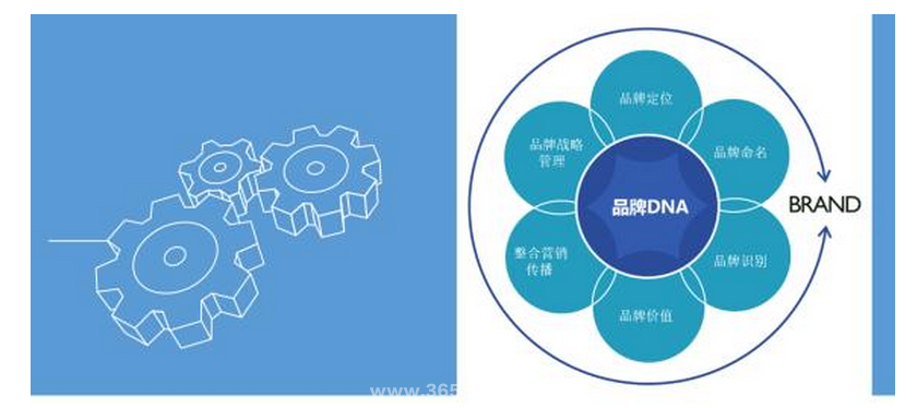 网络营销整合(网络整合营销理论)