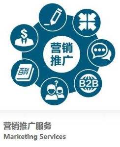 营销网站推广(网站品牌推广营销)