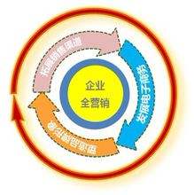 营销模型(品牌营销模型)