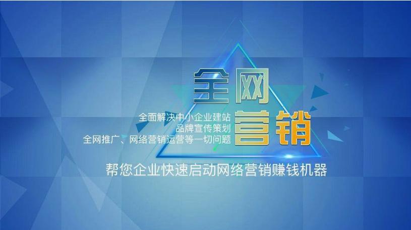 企业网络营销策划(企业网络营销策划方案设计的例子)