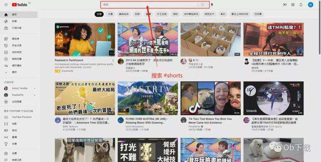 youtube营销(youtube营销推广)