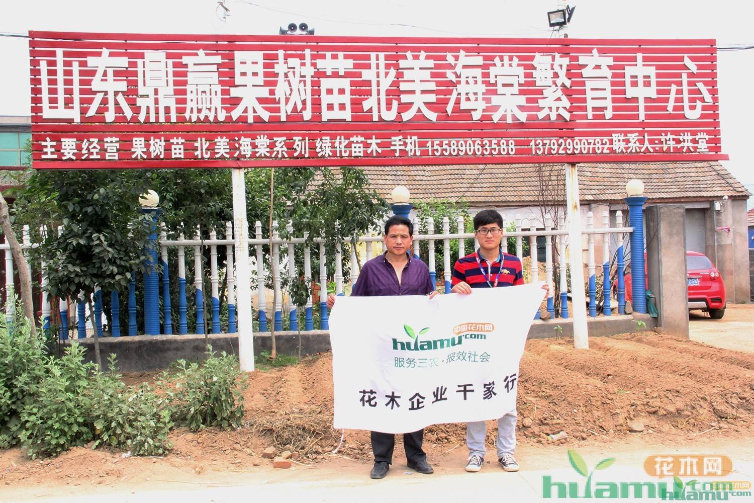 果树认领营销手法(果树认领活动让我们拥有自己的果树)