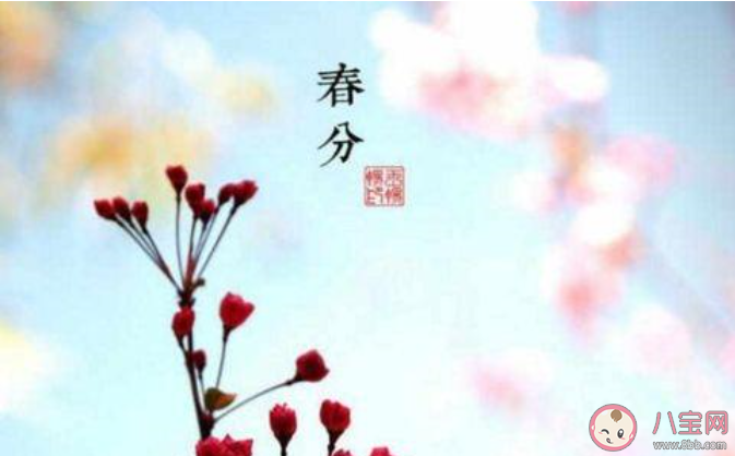 春天的文案句子简短(春天的气息的优美句子文案)