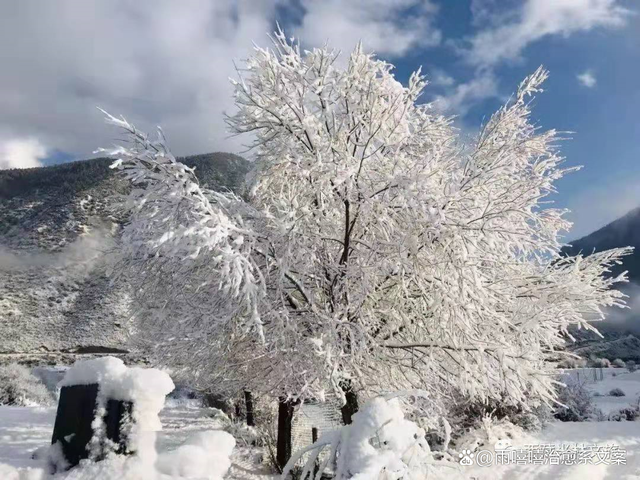 带雪的文案(带雪的文案唯美)