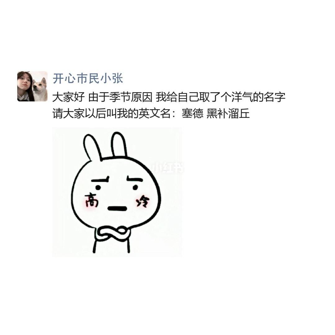 关于工作的搞笑文案(关于工作的搞笑文案短句)