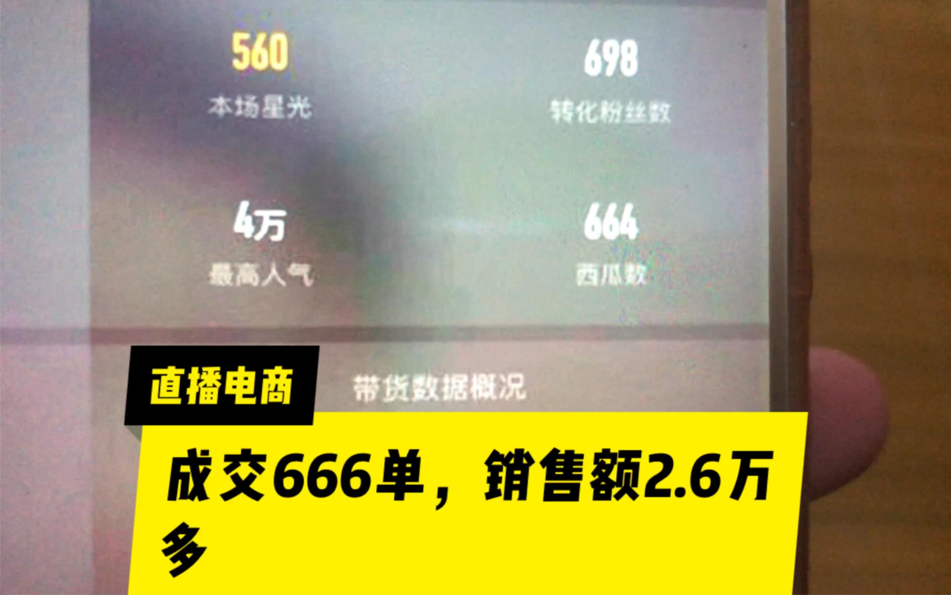 六六六电商(六零八电子商务)