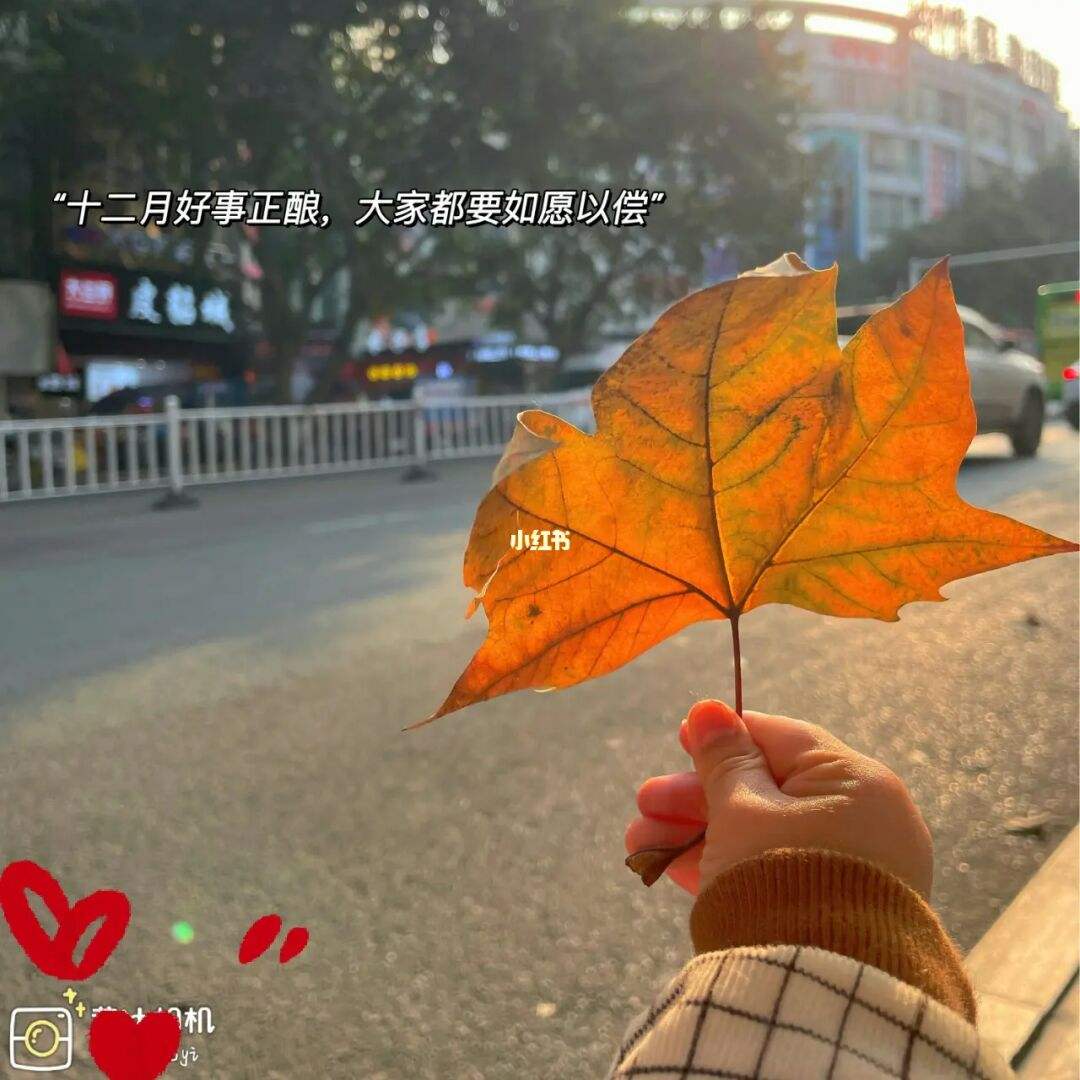 12月文案图片(12月文案图片高清)