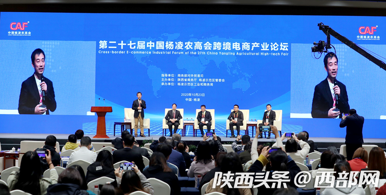 杨凌电商产业园(杨凌电商产业园咋样)