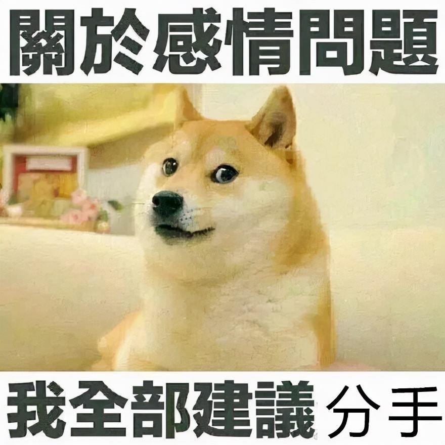 单身狗的文案(单身狗的文案剪短)