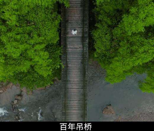 都江堰文案(打卡都江堰文案)