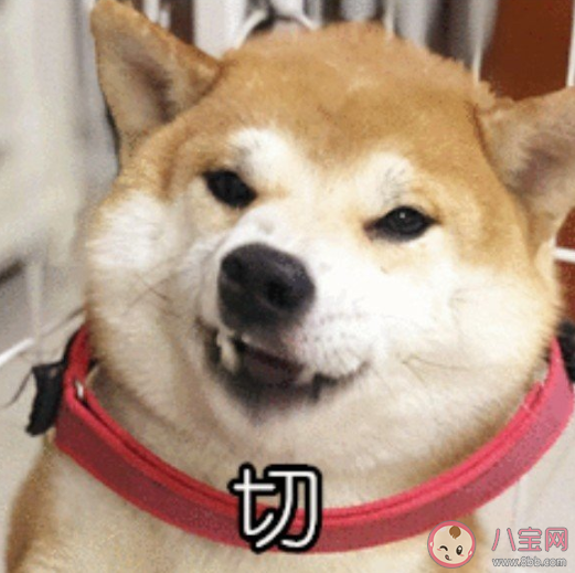 暗示单身的文案(什么文案表示自己单身)