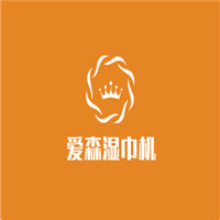爱森电商(爱森电商有限公司)