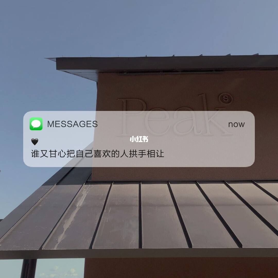ins文案(ins文案高级)