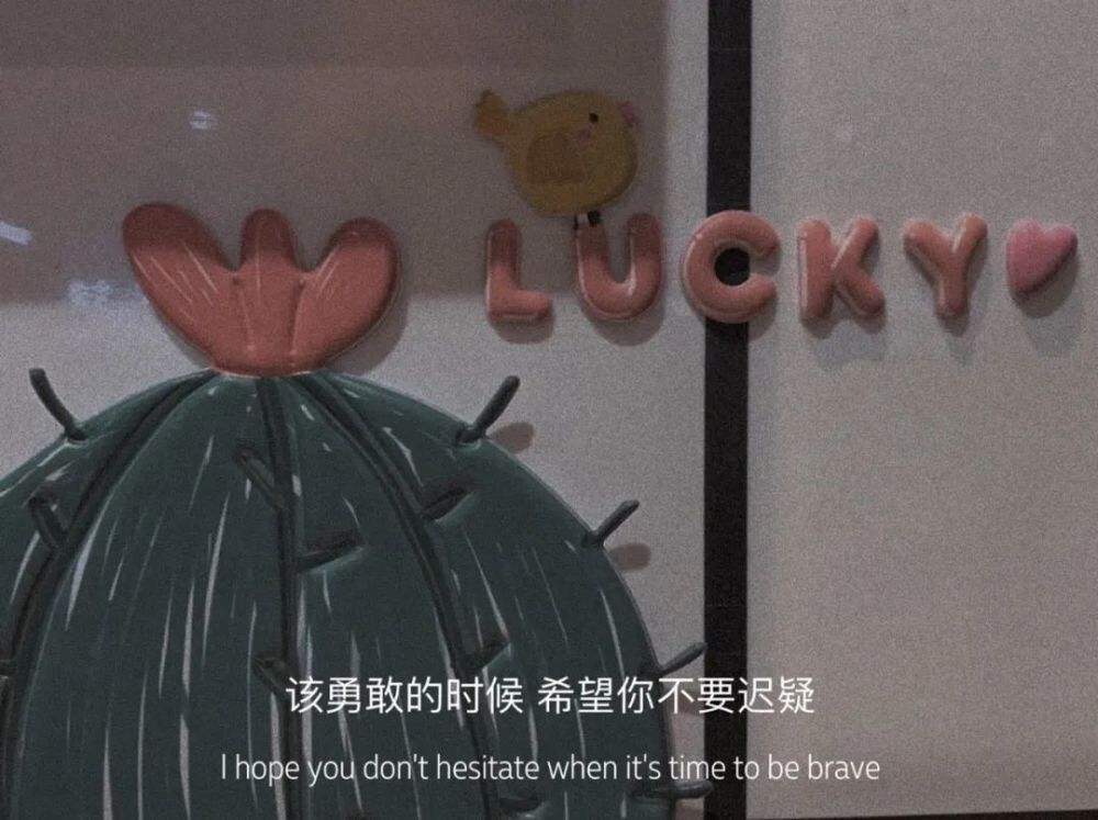 大人的文案(老婆大人文案)