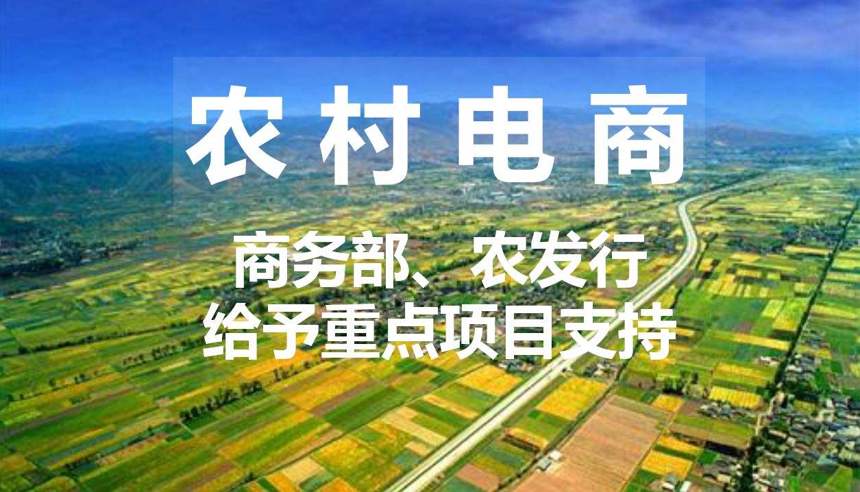 农村电商简介(农村电商简介和分类)