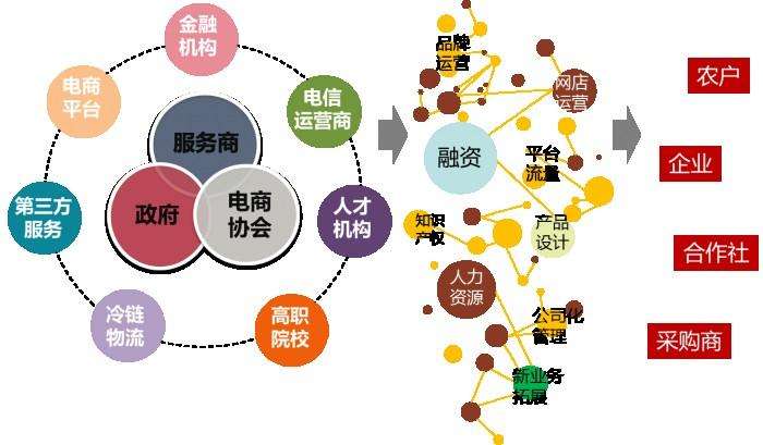 电子商务是电商(电商是电子商务吗)
