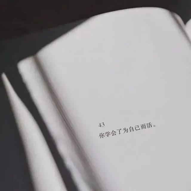 超拽高冷文案短句(霸气高冷又拽的文案)